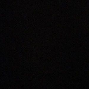 Meet your Posher, Hayden